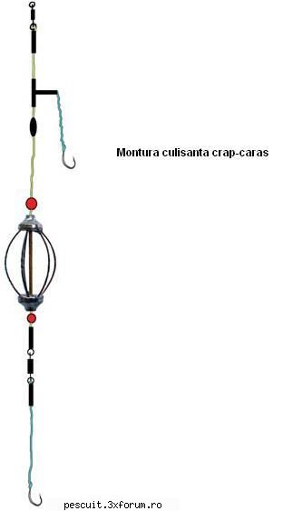 montura culisanta crap-caras pentru realizarea acestei monturi, aveti nevoie de: varteje, naditor