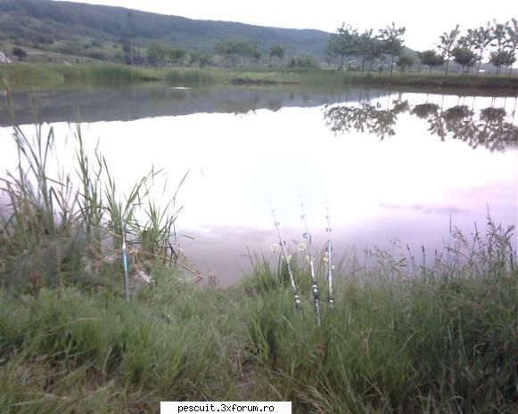 am dat o fuga prin dambovita .....am vizitat balta de la lazuri (40 ron taxa) si cea de la peste tot