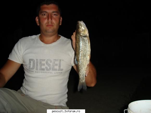 :hi: clean 1.30 kg prins pe raul folosita: poze